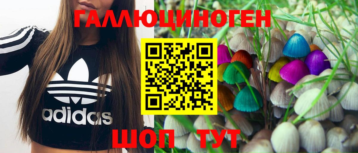 Знаменск  Псилоцибиновые грибы Psilocybine cubensis  наркотики  Вход с VPN 