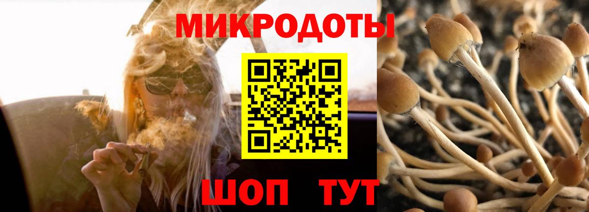 Галлюциногенные грибы Magic Shrooms Знаменск